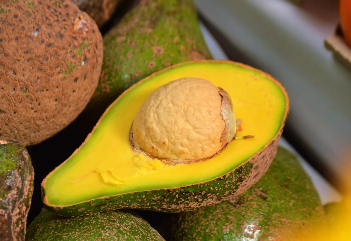 Descubra mais de 10 Benefícios do Abacate para a Sua Saúde e Bem-Estar