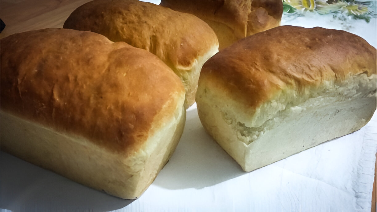 Mudei meu café da manhã com esta receita: pão sem farinha de trigo, delicioso e fácil com poucos passos