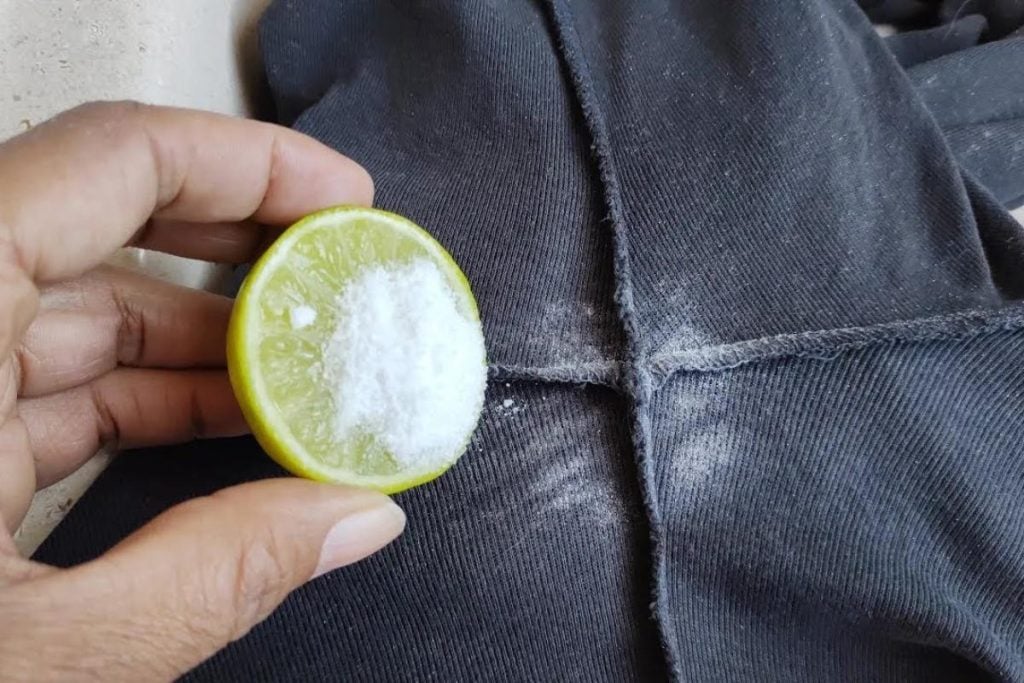 Novo Projeto de Lei Propõe Mudanças na Legislação Ambiental