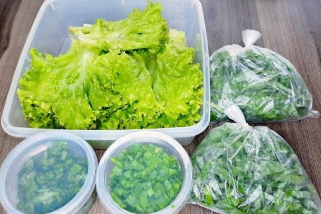 Mercado terá variedade de vegetais frescos durante toda a semana