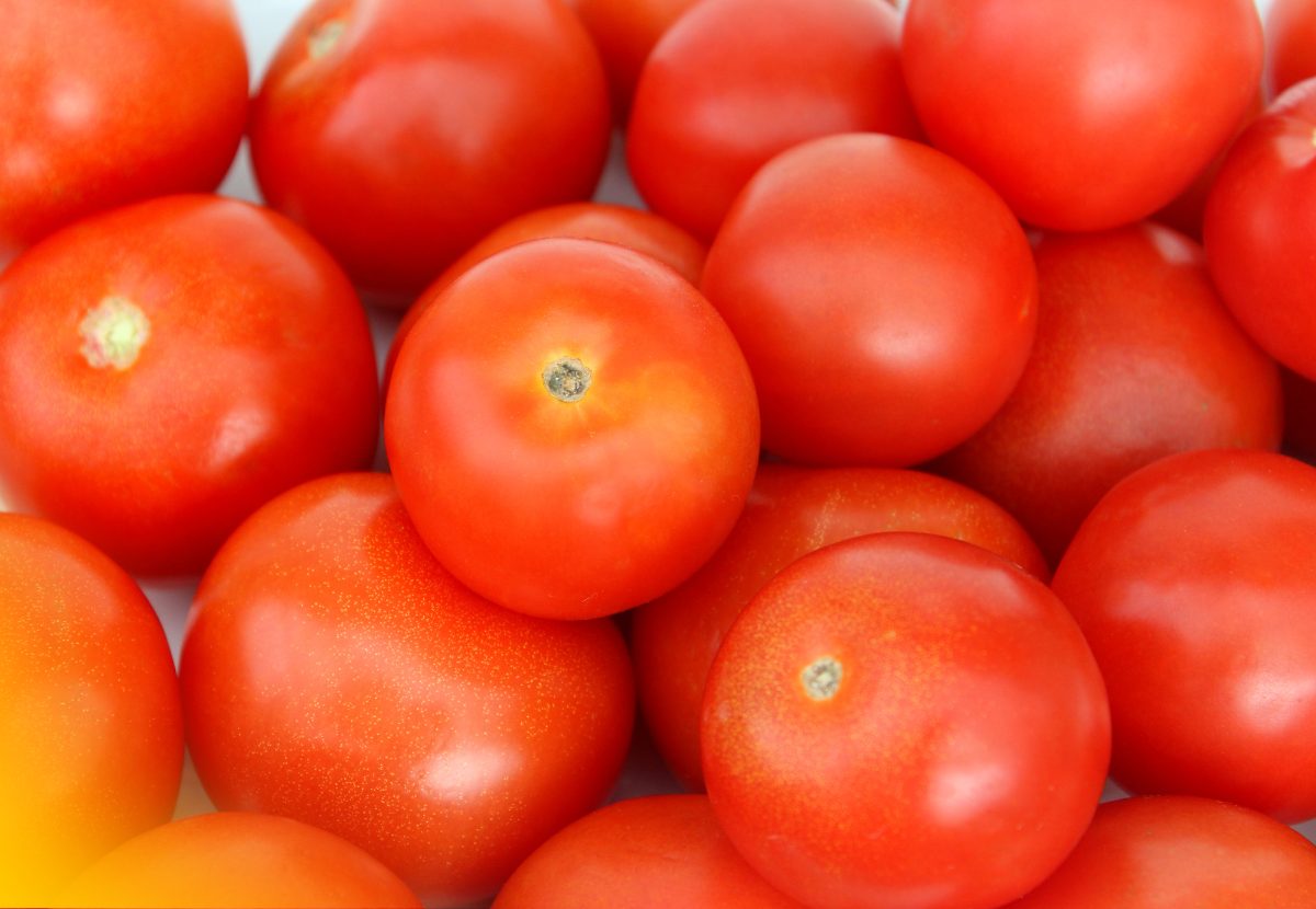 Benefícios do tomate para a Saúde