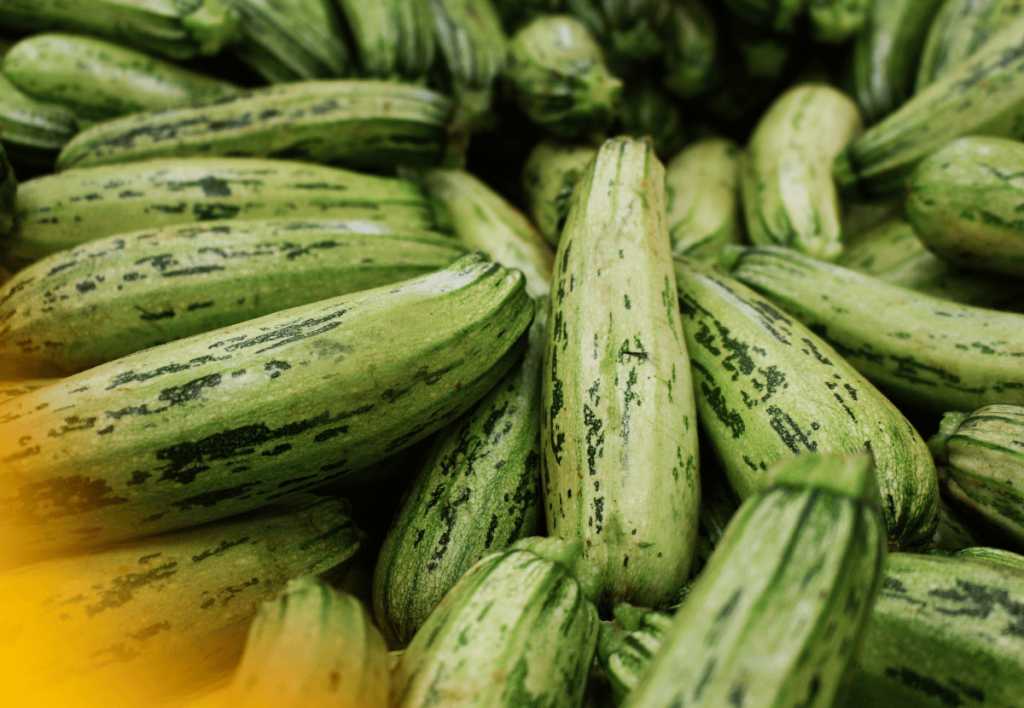 Valor Nutricional da Abobrinha? 