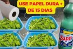 Descubra como garantir sua dose diaria de salada fresca por