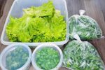 Mercado tera variedade de vegetais frescos durante toda a semana